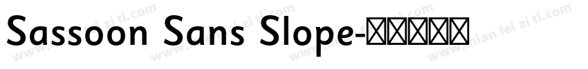 Sassoon Sans Slope字体转换